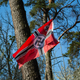 Image for article titled Neo-Nazi Leader Accused of Pointing Gun at Black People, Shouting Racial Slurs and Threatening to Kill Them
